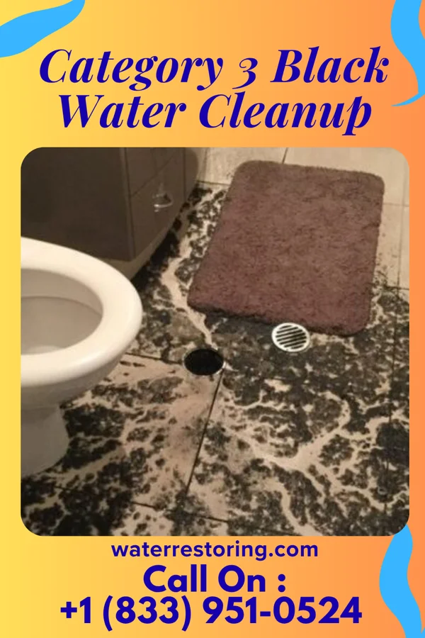 Category 3 Black Water Cleanup in Stotts City, MO