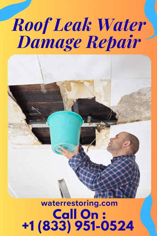 Roof Leak Water Damage Repair in Stotts City, MO