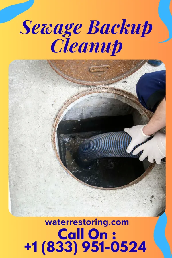 Sewage Backup Cleanup in Stotts City, MO
