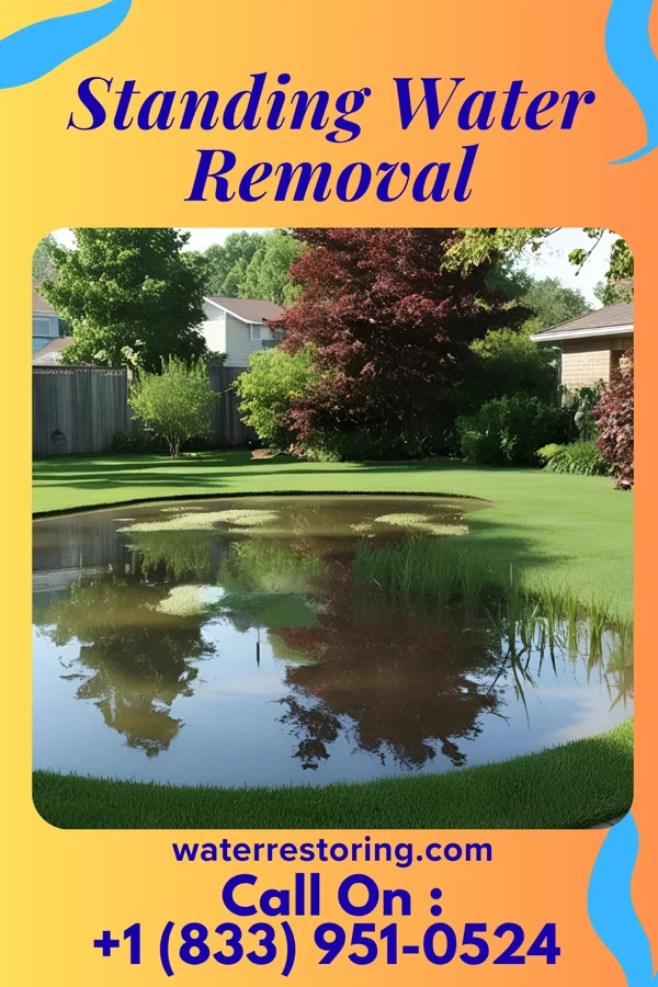 Standing Water Removal in Stotts City, MO